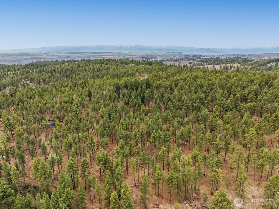305 Sunrise Way, East Wenatchee, WA 98802 - #2