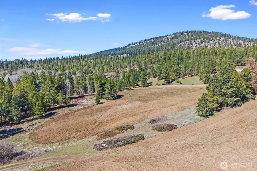 2068 Addy-gifford Road, Addy, WA 99101 - #2