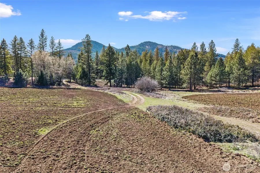 2068 Addy-gifford Road, Addy, WA 99101 - #3