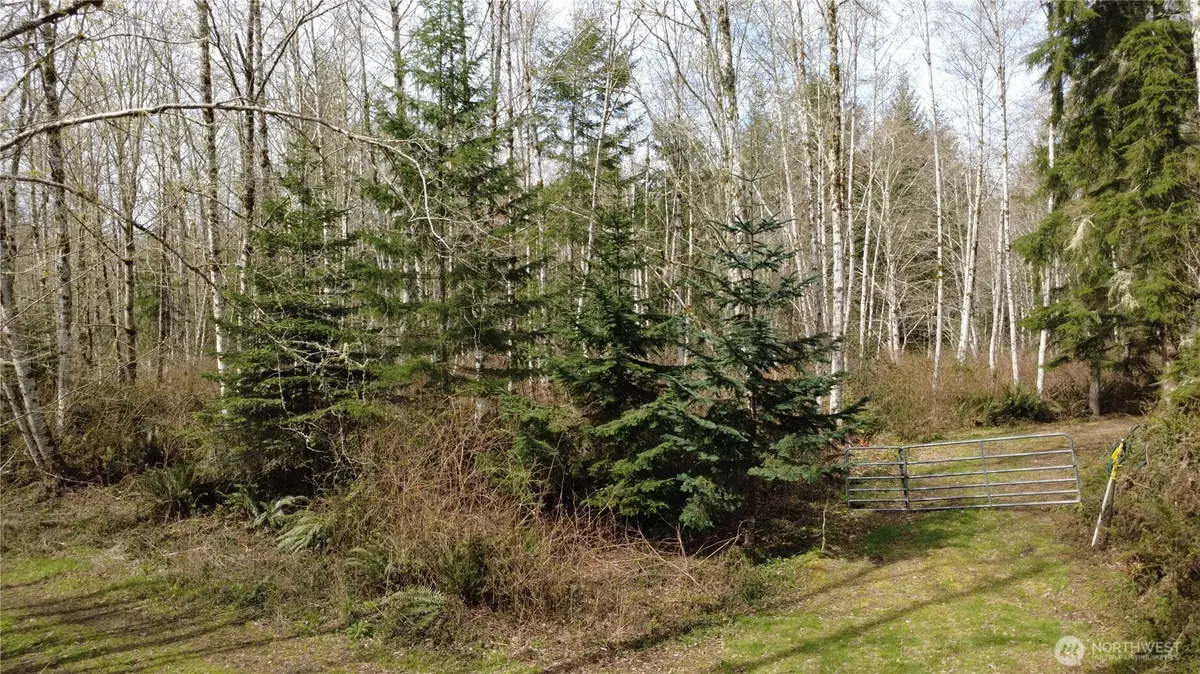 0 Blacktail Court, Quilcene, WA 98376 - #1