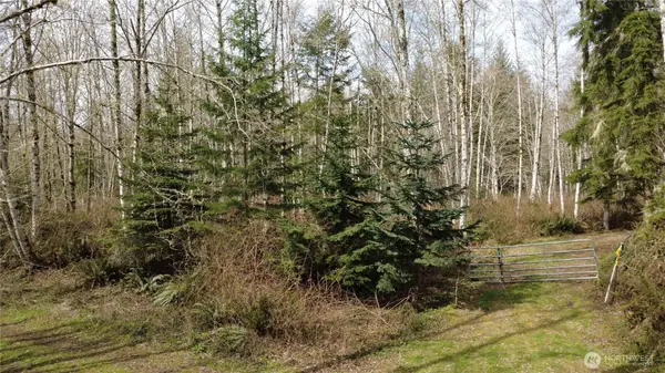 0 Blacktail Court, Quilcene, WA 98376
