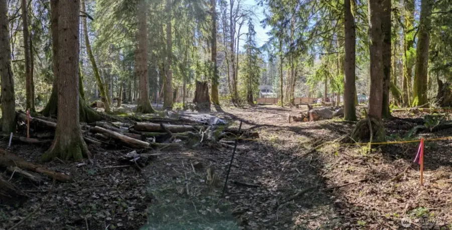 55912 317th Avenue E, Ashford, WA 98304 - #2