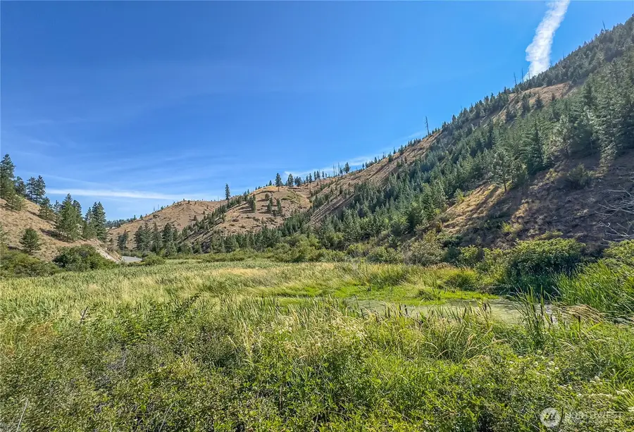 10558 Mud Creek Road #9, Entiat, WA 98822 - #3