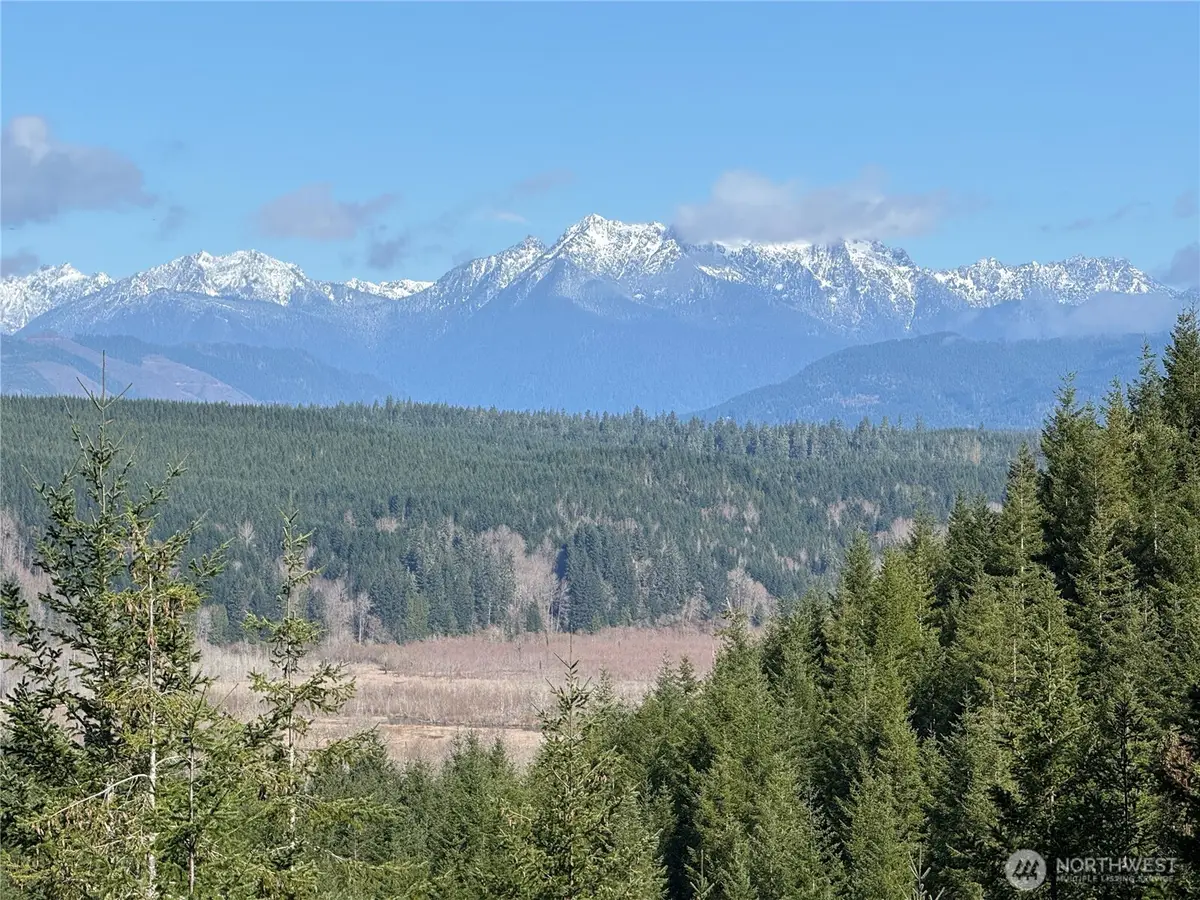 151 E Amy Court, Shelton, WA 98584 - #1