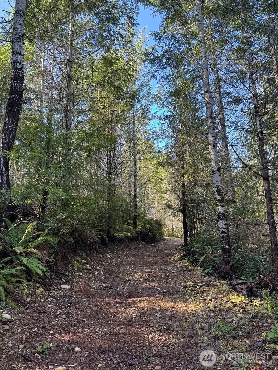 151 E Amy Court, Shelton, WA 98584 - #3