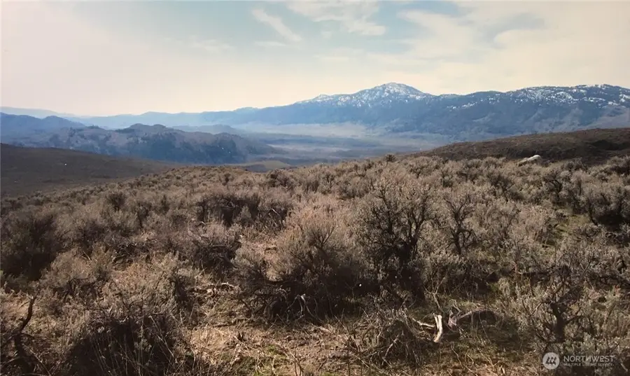 338 Palmer Mountain Road, Oroville, WA 98855 - #2