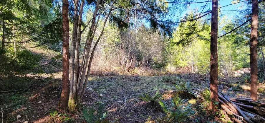 170 E Sprague, Union, WA 98592 - #3