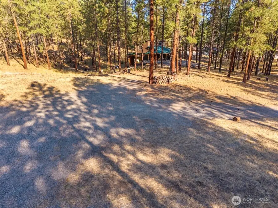 96 Twin Lakes Drive, Winthrop, WA 98862 - #2