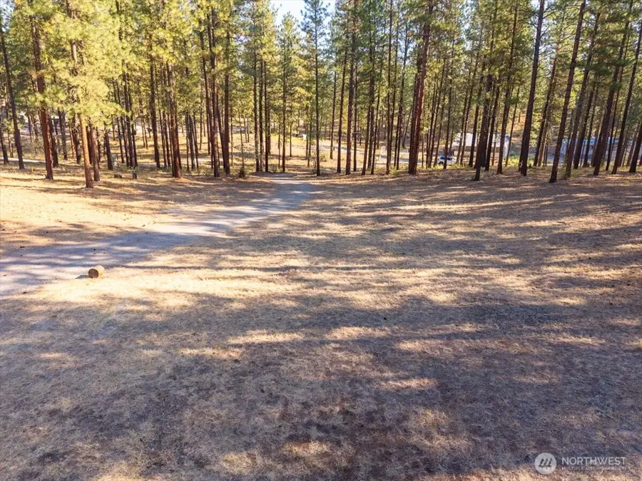 96 Twin Lakes Drive, Winthrop, WA 98862 - #3