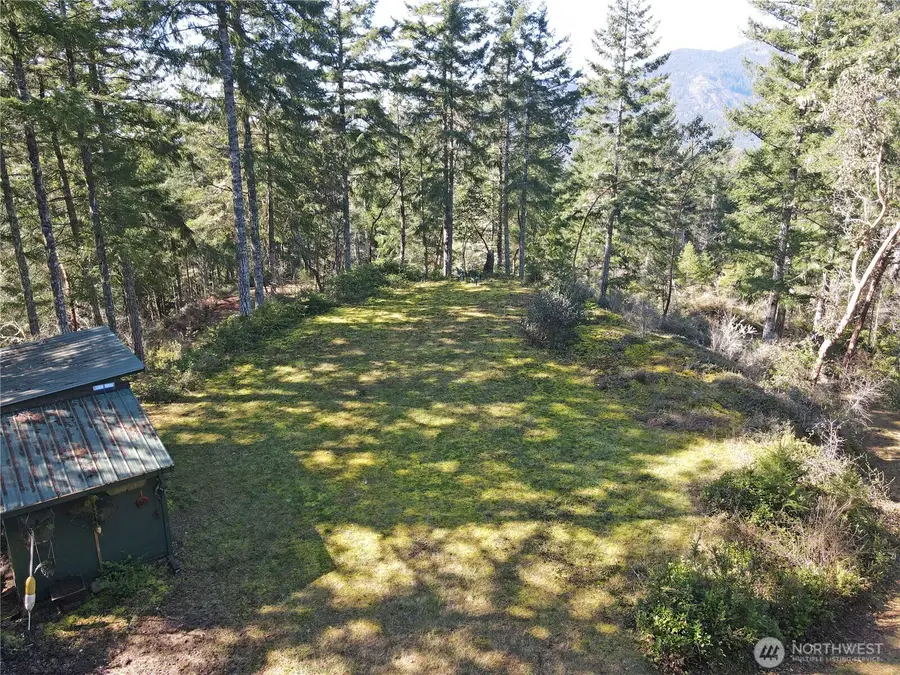 753 Jupiter Loop, Brinnon, WA 98320 - #2