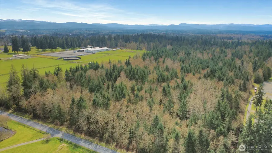 6420 288th Street E, Graham, WA 98338 - #2