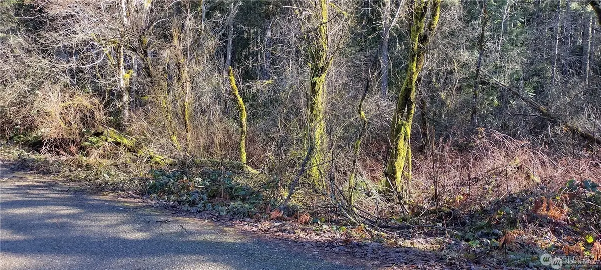 5803 Marks Road Nw, Bremerton, WA 98312 - #1