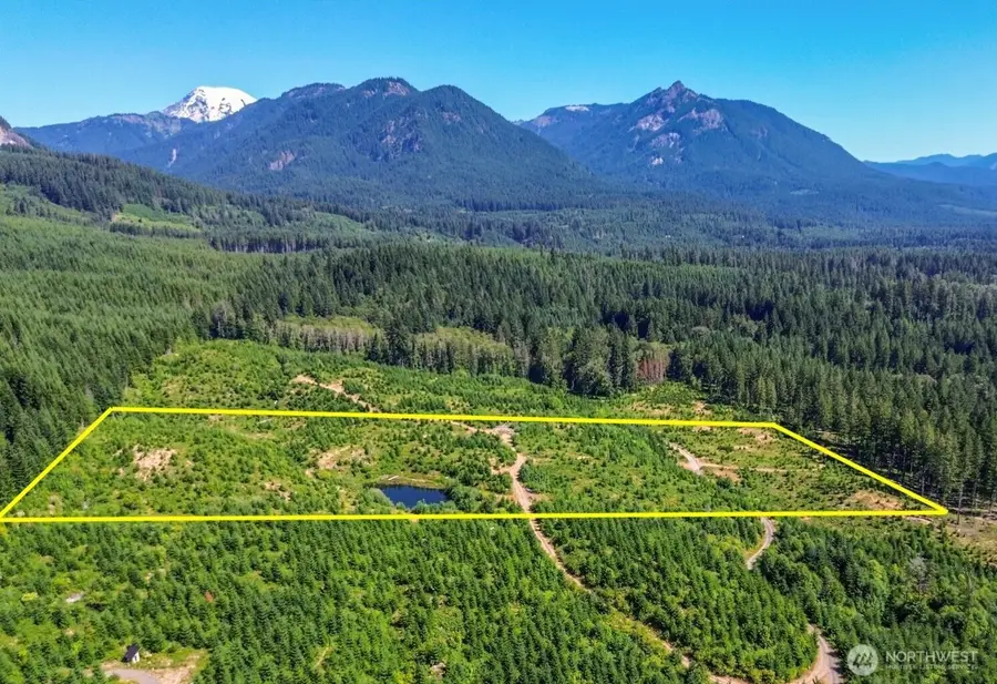 294 Hardy Lane, Packwood, WA 98361 - #2