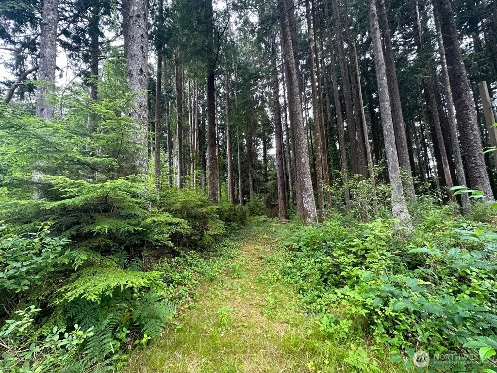 44 Robin Lane, Pacific Beach, WA 98571 - #1