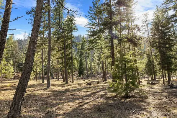 31 Domerie Park Loop #31, Cle Elum, WA 98922