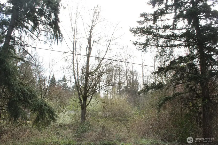 0 121 Street E, Tacoma, WA 98445 - #3