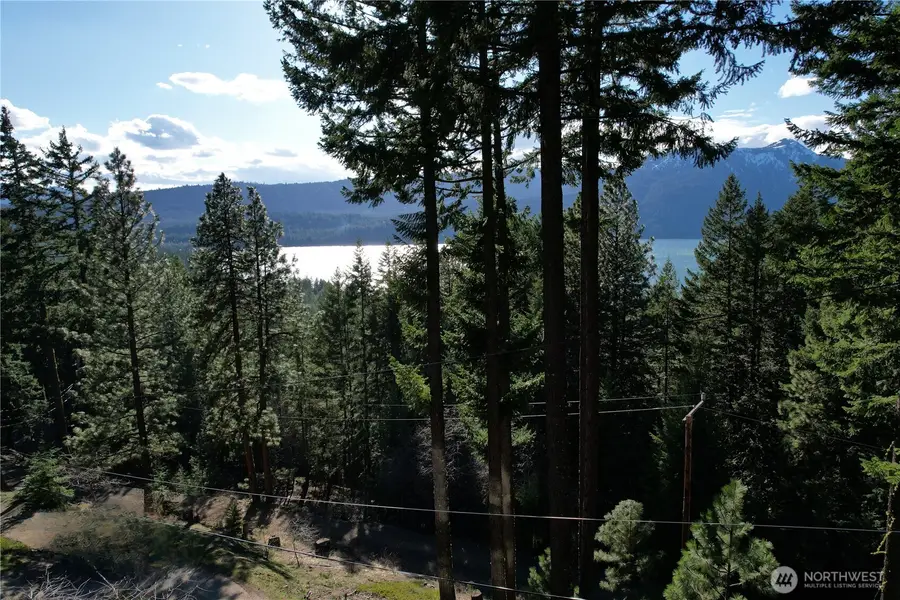 100 Lakeview Drive, Ronald, WA 98940 - #3