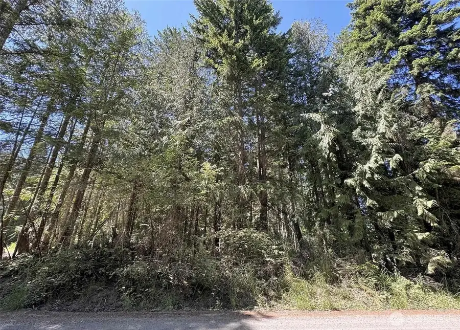 121 N Bagley Creek Road, Port Angeles, WA 98362 - #3