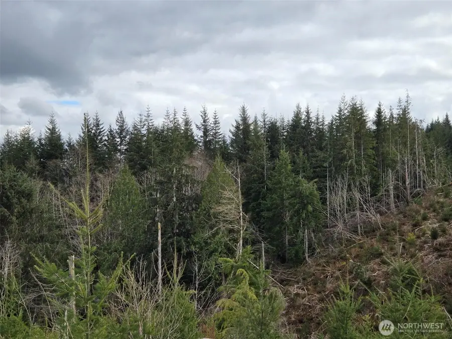 0 Hoquiam Wishkah Road, Hoquiam, WA 98550 - #2