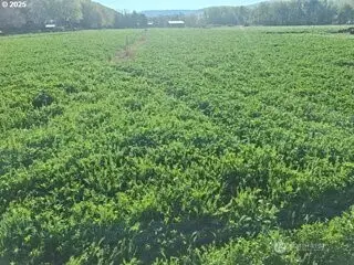 54884 Day Road, Milton Freewater, OR 97862 - #3