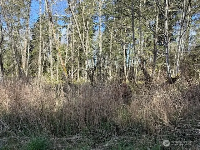 0 Ander Park Road #21, Freeland, WA 98249 - #3