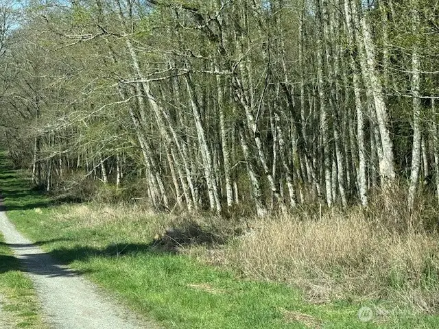 0 Ander Park Road, Freeland, WA 98249 - #3