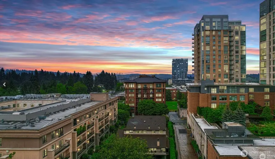 1100 106th Avenue Ne #704, Bellevue, WA 98004 - #3
