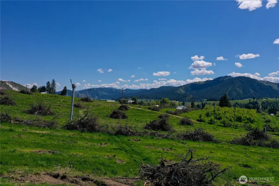 1 Ludwig Hill Rd, Peshastin, WA 98847 - #2
