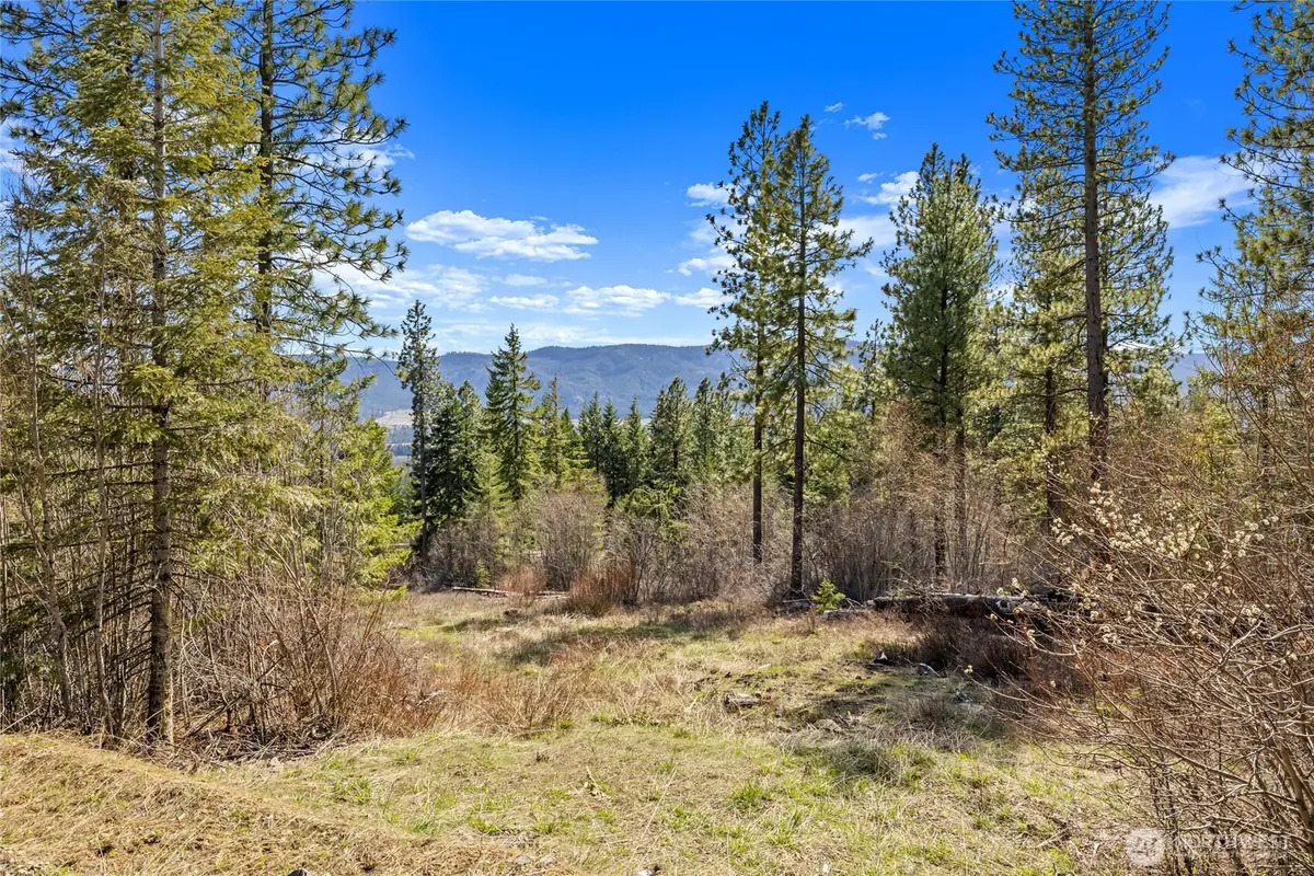 6 Forest Ridge (lot 6) Drive #Lot 6, Cle Elum, WA 98922 - #1