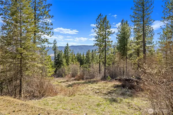 6 Forest Ridge (lot 6) Drive #Lot 6, Cle Elum, WA 98922