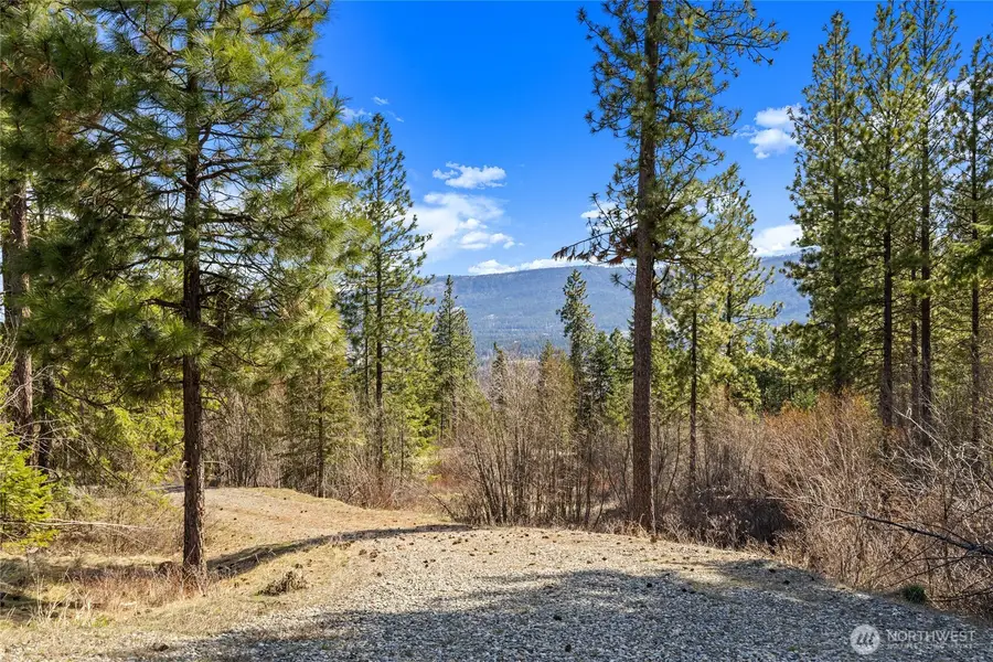 6 Forest Ridge (lot 6) Drive #Lot 6, Cle Elum, WA 98922 - #2