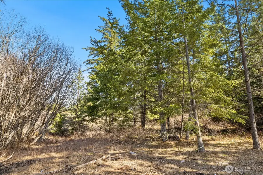 78 Forest Ridge (lot 78) Drive #Lot 78, Cle Elum, WA 98922 - #3