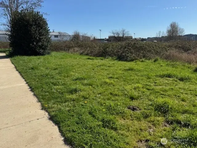 881 SW Chehalis Avenue, Chehalis, WA 98532 - #2