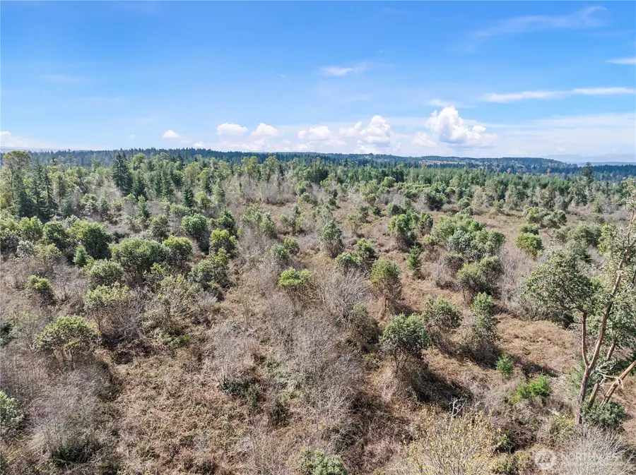 17908 16th Street Sw, Lakebay, WA 98349 - #3