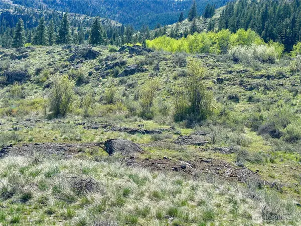 2 Alder Road, Twisp, WA 98856