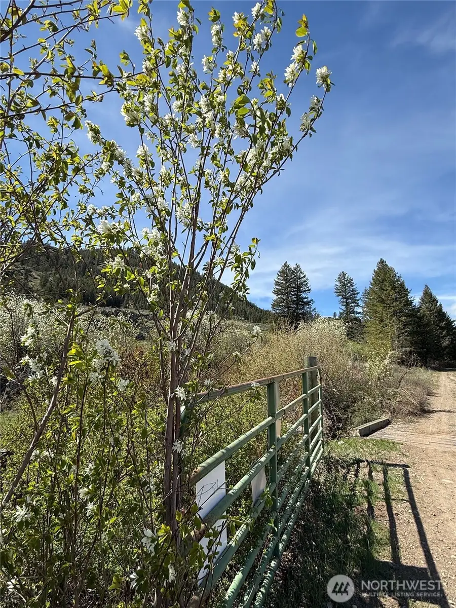 2 Alder Road, Twisp, WA 98856 - #2