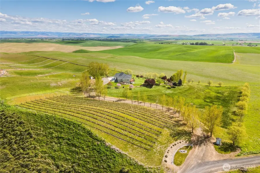 167 Rawhide Road, Walla Walla, WA 99362 - #2