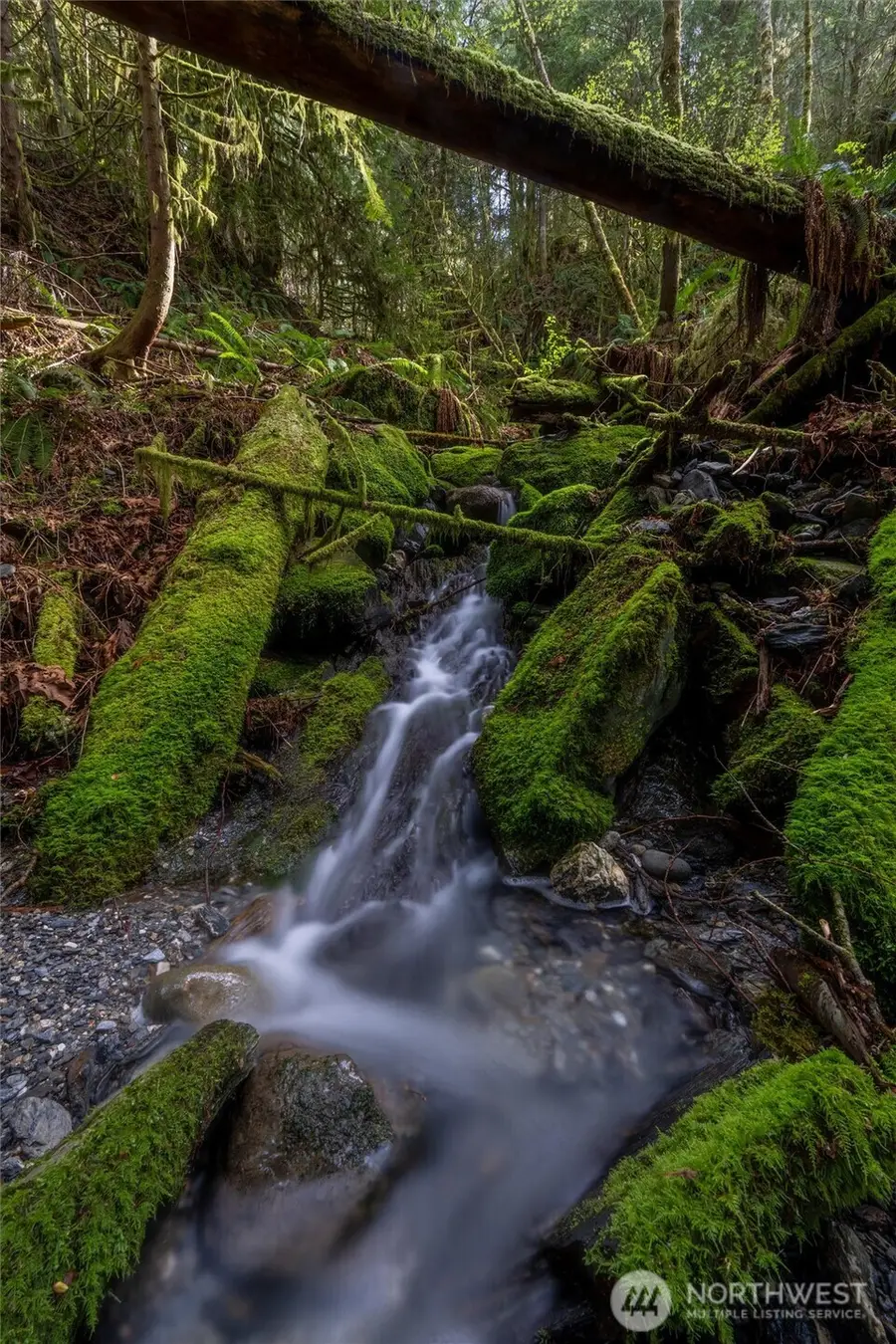 861 Summerhill Drive, Sedro Woolley, WA 98284 - #3