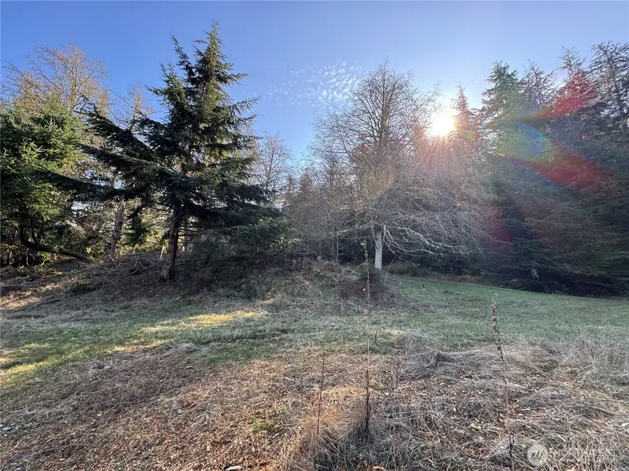 36 Coastline Drive #Lot 36, Olga, WA 98245 - #3