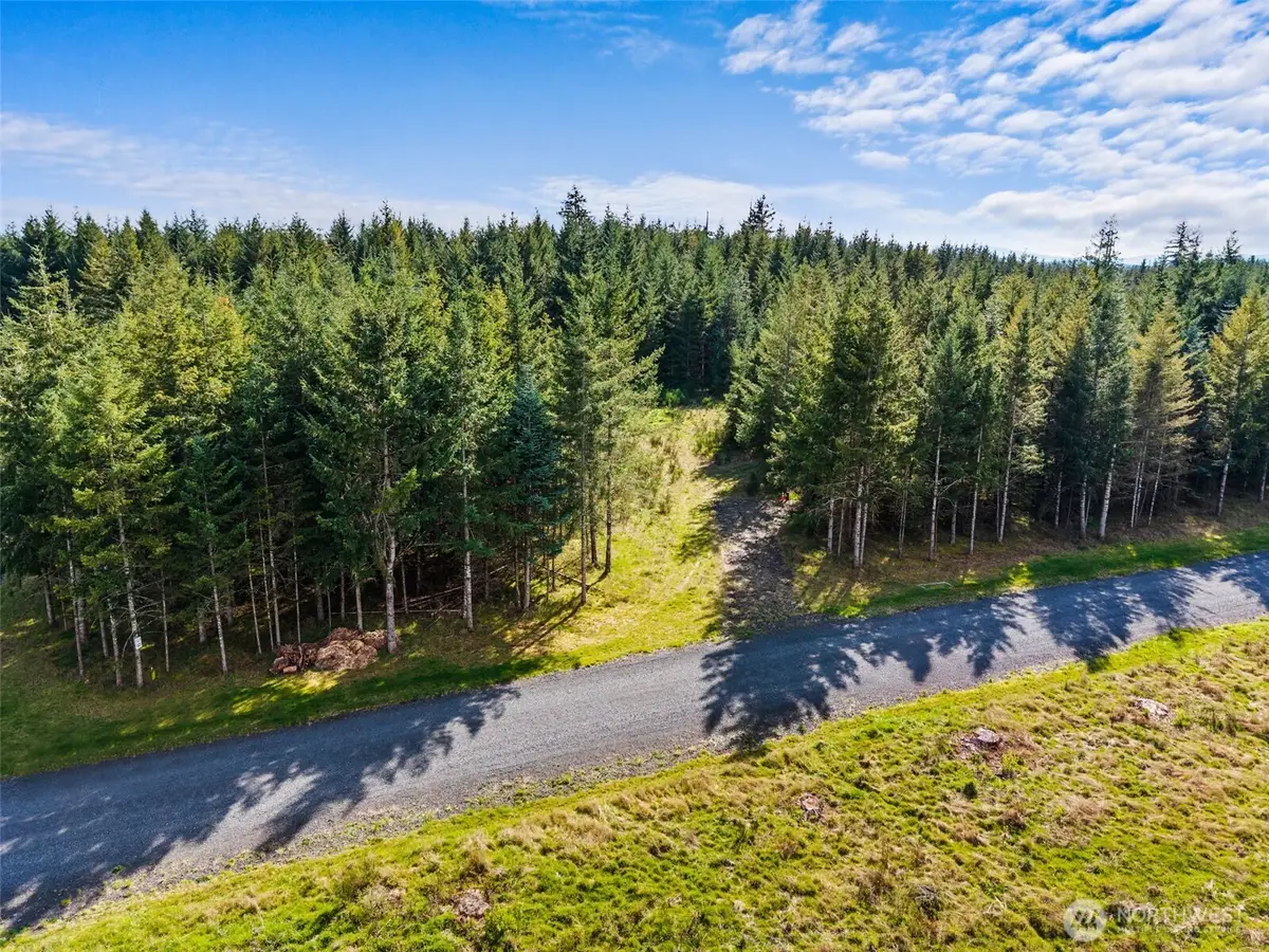 203 Bear Creek Lane, Winlock, WA 98596 - #1