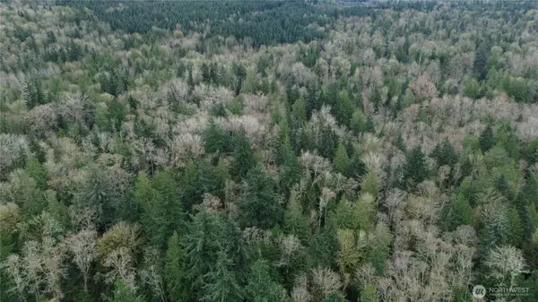 9 E Street #9, Bellingham, WA 98225