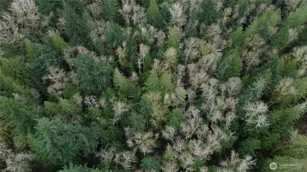 10 E Street #10, Bellingham, WA 98225