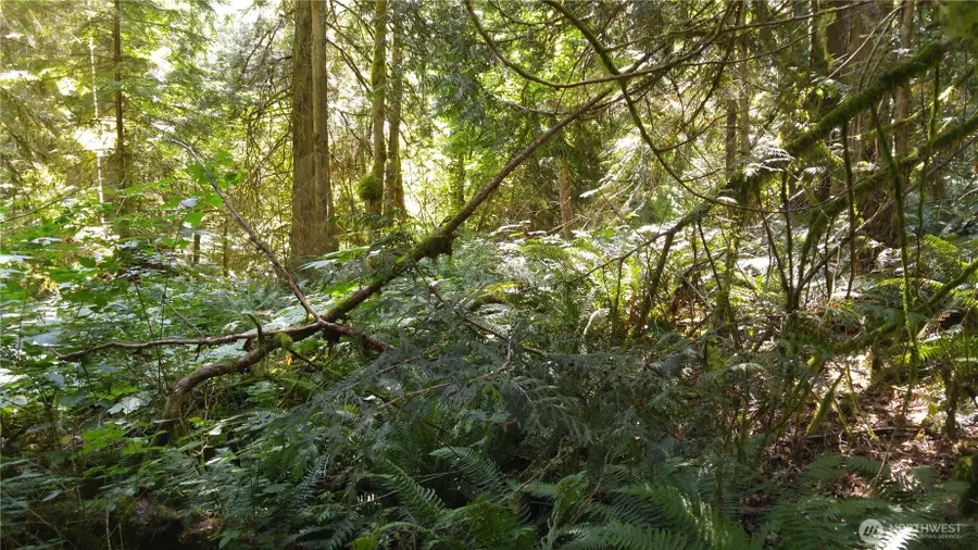 10 E Street #10, Bellingham, WA 98225 - #3