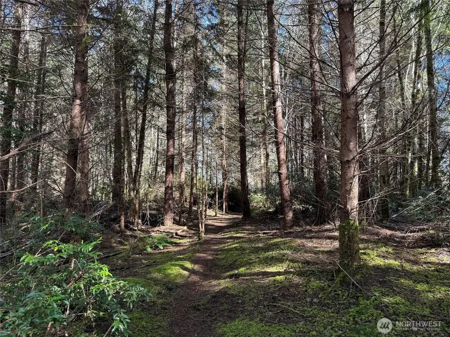 1 Xx E Case View Place #GOVT Lot 1, Shelton, WA 98584 - #3