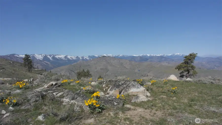 31 Cowboy Road #31, Methow, WA 98834 - #3