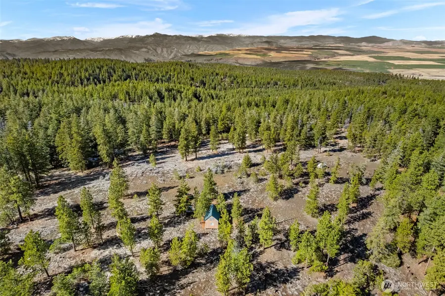 110 Blue Bird Ln, East Wenatchee, WA 98802 - #3