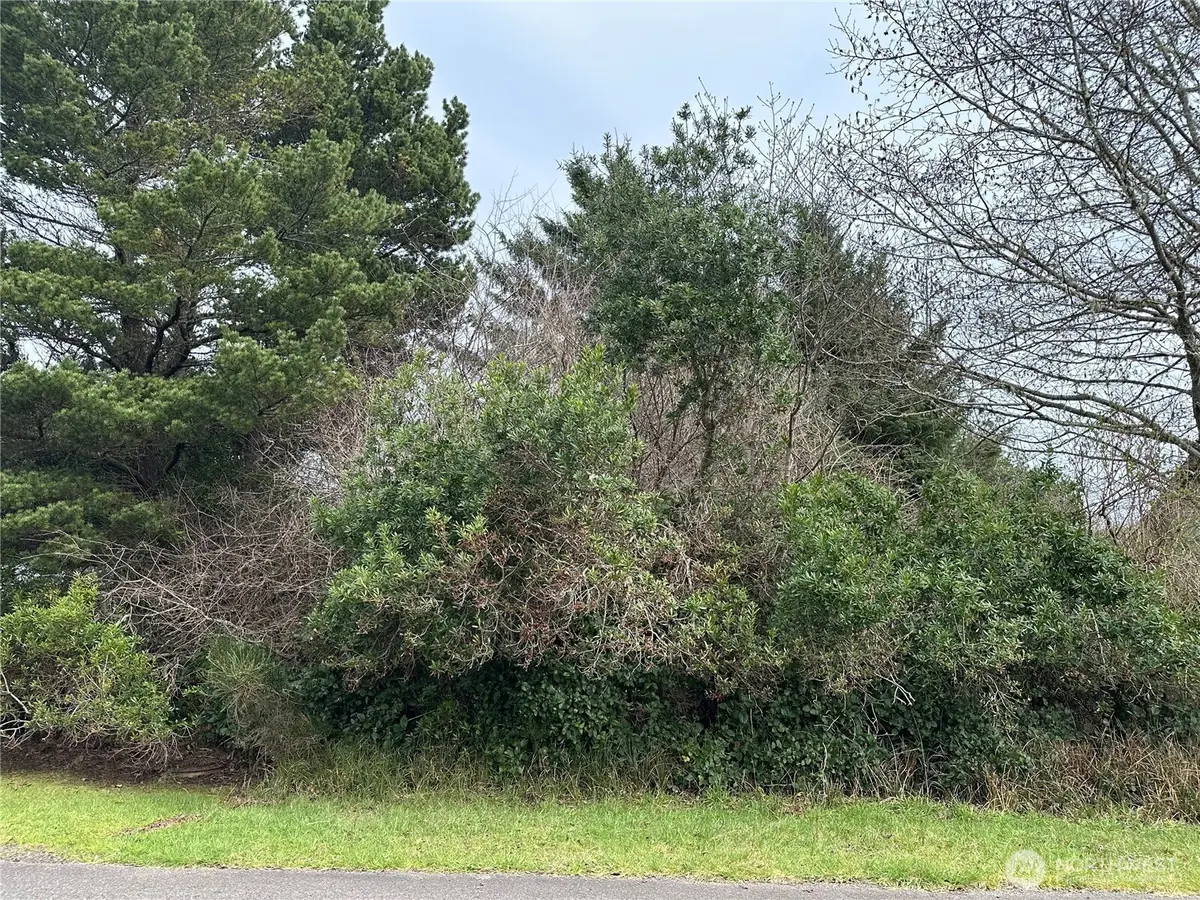 204 Muskrat Ct Sw, Ocean Shores, WA 98569 - #1