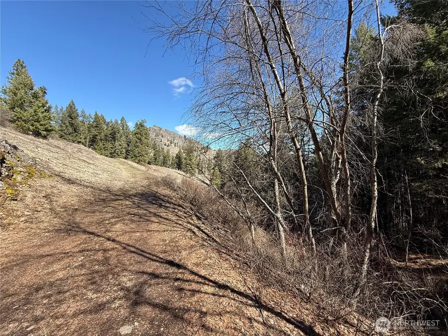 0 Coogan Creek Road, Wauconda, WA 98859 - #2