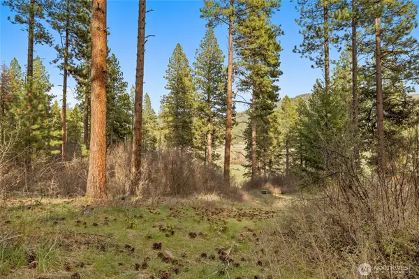 250 Fir Tree Drive #3-1-B, Cle Elum, WA 98922