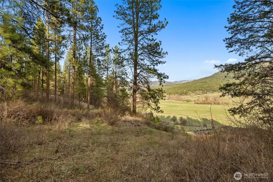 250 Fir Tree Drive #3-1-B, Cle Elum, WA 98922 - #3